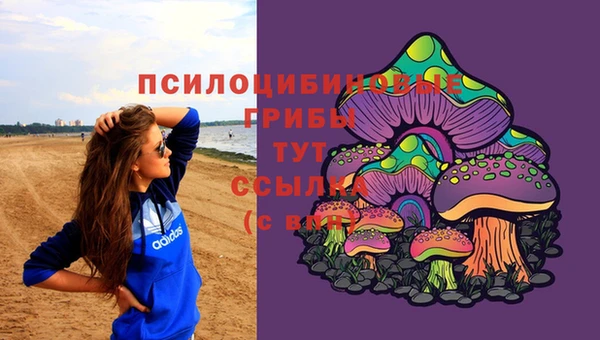 ECSTASY Дмитриев