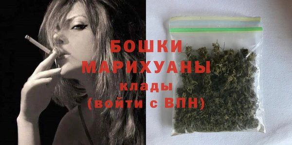 ECSTASY Дмитриев